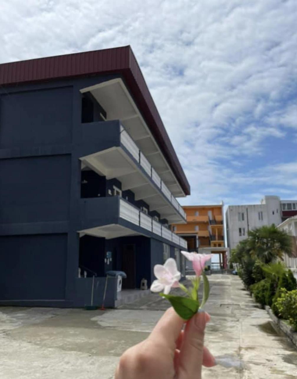 Sun Kissed Hotel Kobuleti Exterior photo